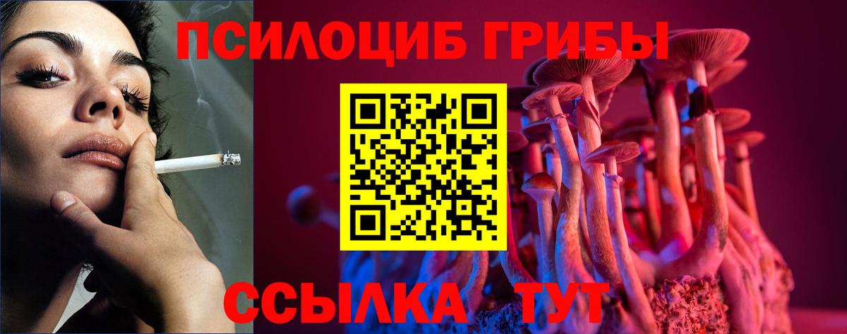 Сосновый Бор  Псилоцибиновые грибы ЛСД  Вход с VPN 